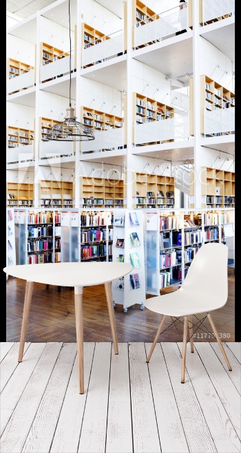 Picture of Book shelves in library